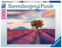 Ravensburger. Пазл карт. 1000 арт.16724 Лавандовые поля
